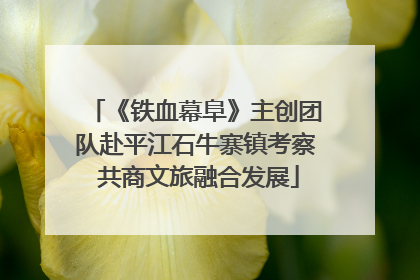 《铁血幕阜》主创团队赴平江石牛寨镇考察 共商文旅融合发展