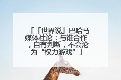 「世界说」巴哈马媒体社论：与谁合作，自有判断，不会沦为“权力游戏”