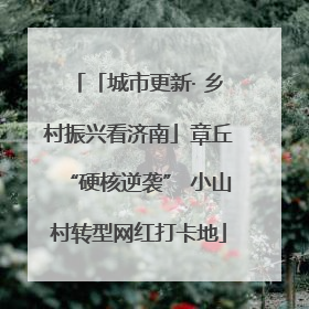 「城市更新· 乡村振兴看济南」章丘“硬核逆袭” 小山村转型网红打卡地