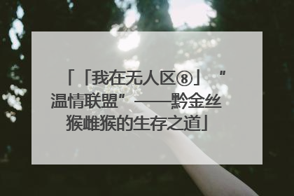 「我在无人区⑧」“温情联盟”——黔金丝猴雌猴的生存之道