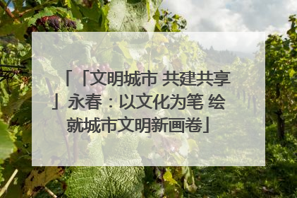 「文明城市 共建共享」永春：以文化为笔 绘就城市文明新画卷