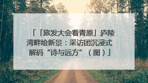 「旅发大会看青原」庐陵湾畔绘新景：采访团沉浸式解码“诗与远方”（图）