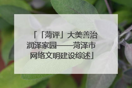 「菏评」大美善治润泽家园——菏泽市网络文明建设综述