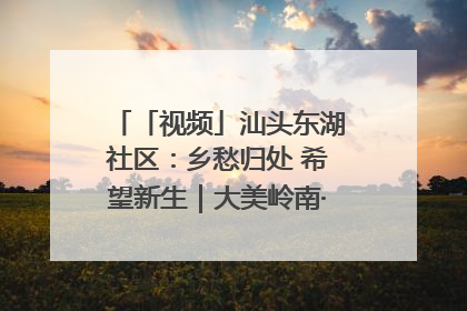 「视频」汕头东湖社区：乡愁归处 希望新生｜大美岭南·百村焕新记