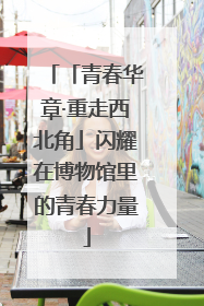 「青春华章·重走西北角」闪耀在博物馆里的青春力量