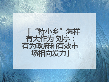 “特小乡”怎样有大作为 刘亭：有为政府和有效市场相向发力