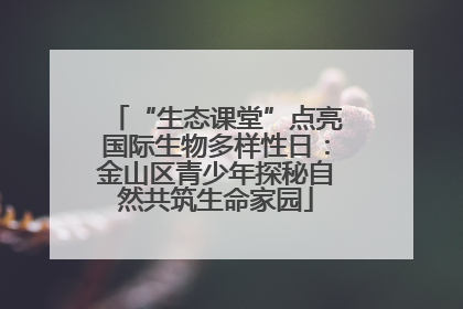 “生态课堂”点亮国际生物多样性日：金山区青少年探秘自然共筑生命家园