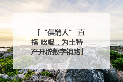 “供销人” 直播 吆喝，为土特产开辟数字销路