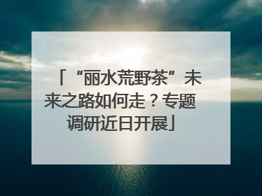 “丽水荒野茶”未来之路如何走？专题调研近日开展
