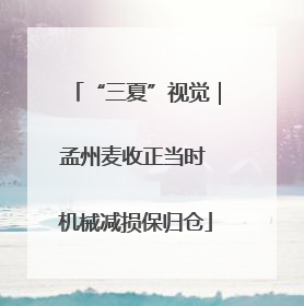 “三夏”视觉｜孟州麦收正当时 机械减损保归仓