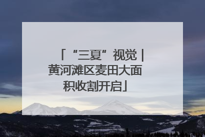 “三夏”视觉｜黄河滩区麦田大面积收割开启