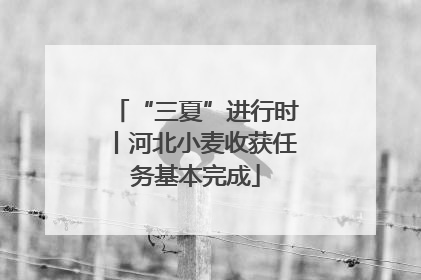 “三夏”进行时丨河北小麦收获任务基本完成