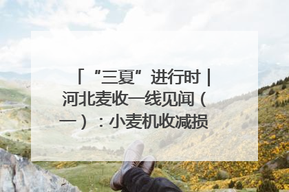 “三夏”进行时｜河北麦收一线见闻（一）：小麦机收减损“竞技” 农机高手麦田“过招”