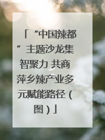 “中国辣都”主题沙龙集智聚力 共商萍乡辣产业多元赋能路径（图）