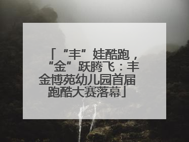 “丰”娃酷跑，“金”跃腾飞：丰金博苑幼儿园首届跑酷大赛落幕