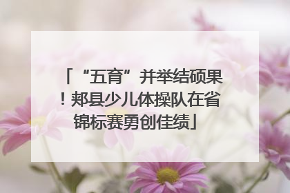“五育”并举结硕果！郏县少儿体操队在省锦标赛勇创佳绩