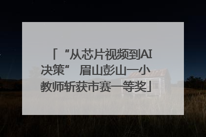 “从芯片视频到AI决策” 眉山彭山一小教师斩获市赛一等奖