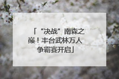 “决战”南森之巅！丰台武林万人争霸赛开启