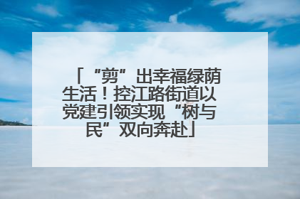 “剪”出幸福绿荫生活！控江路街道以党建引领实现“树与民”双向奔赴