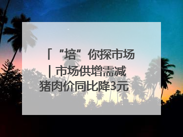“培”你探市场｜市场供增需减 猪肉价同比降3元 未来40天便宜猪肉敞开吃
