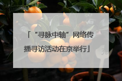 “寻脉中轴”网络传播寻访活动在京举行
