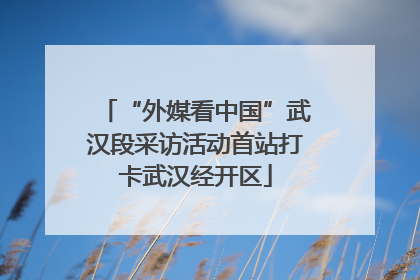 “外媒看中国”武汉段采访活动首站打卡武汉经开区
