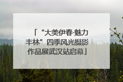 “大美伊春·魅力丰林”四季风光摄影作品展武汉站启幕