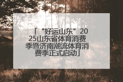 “好运山东”2025山东省体育消费季暨济南潮流体育消费季正式启动