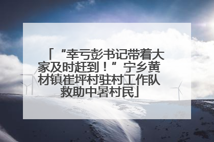 “幸亏彭书记带着大家及时赶到！”宁乡黄材镇崔坪村驻村工作队救助中暑村民