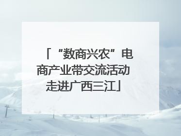 “数商兴农”电商产业带交流活动走进广西三江