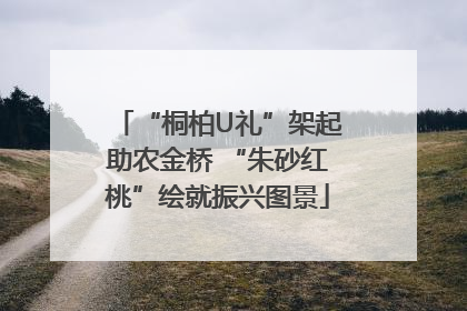 “桐柏U礼”架起助农金桥 “朱砂红桃”绘就振兴图景