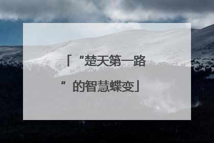 “楚天第一路”的智慧蝶变