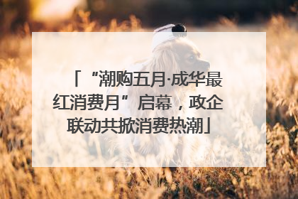 “潮购五月·成华最红消费月”启幕，政企联动共掀消费热潮