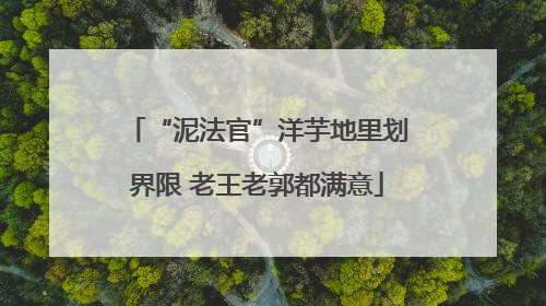 “泥法官”洋芋地里划界限 老王老郭都满意