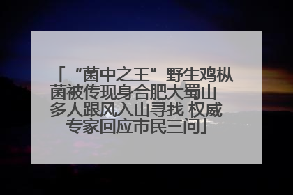 “菌中之王”野生鸡枞菌被传现身合肥大蜀山 多人跟风入山寻找 权威专家回应市民三问