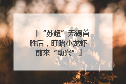 “苏超”无锡首胜后，盱眙小龙虾前来“助兴”