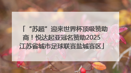 “苏超”迎来世界杯顶级赞助商！悦达起亚冠名赞助2025江苏省城市足球联赛盐城赛区