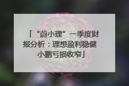 “蔚小理”一季度财报分析：理想盈利稳健 小鹏亏损收窄