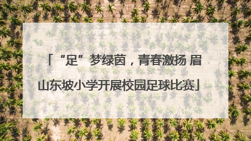 “足”梦绿茵，青春激扬 眉山东坡小学开展校园足球比赛