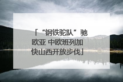 “钢铁驼队”驰欧亚 中欧班列加快山西开放步伐