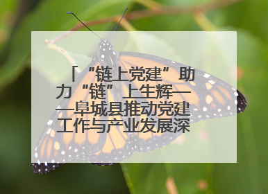 “链上党建”助力“链”上生辉——阜城县推动党建工作与产业发展深度融合