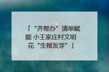 “齐帮办”清单赋能 小王家庄村文明花“生根发芽”
