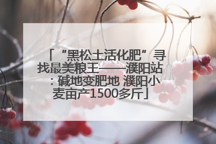 “黑松土活化肥”寻找最美粮王——濮阳站：碱地变肥地 濮阳小麦亩产1500多斤