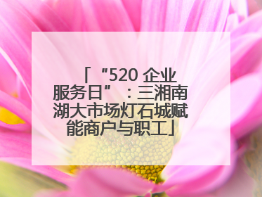 “520 企业服务日”：三湘南湖大市场灯石城赋能商户与职工