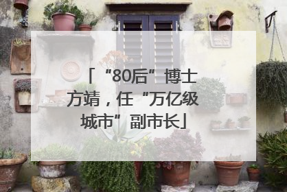 “80后”博士方靖，任“万亿级城市”副市长
