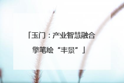 玉门：产业智慧融合 擎笔绘“丰景”