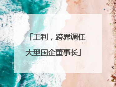 王利，跨界调任大型国企董事长