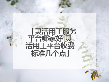 灵活用工服务平台哪家好 灵活用工平台收费标准几个点