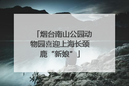 烟台南山公园动物园喜迎上海长颈鹿“新娘”