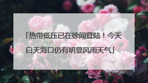 热带低压已在徐闻登陆！今天白天海口仍有明显风雨天气